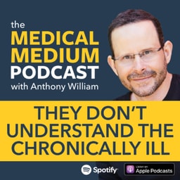 116 They Don't Understand The Chronically Ill