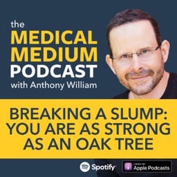 117 Breaking A Slump: You Are As Strong As An Oak Tree